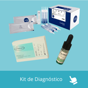 kit diagnosticos