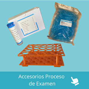 proceso examenes